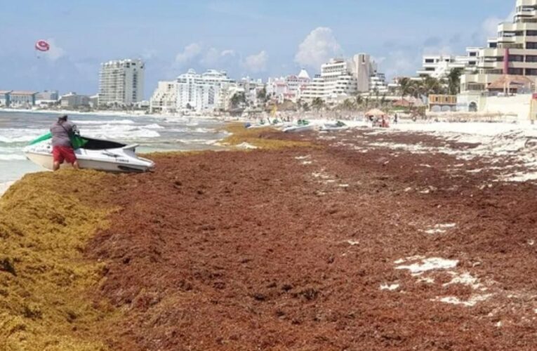 Se aproximan tres manchones de sargazo a Quintana Roo