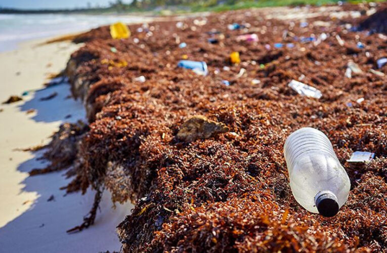 Cancún: toneladas de basura en la playa afectan como el sargazo