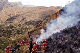 Serfor optimiza manejo de incendios forestales con apoyo de organismo internacional