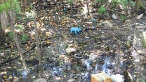 Cancún registra mayor número de cenotes contaminados