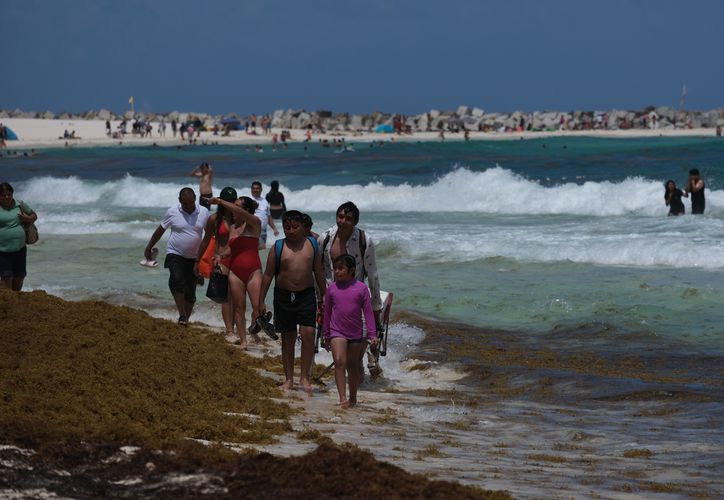 “La imagen decepciona”: sargazo en playas de Cancún molesta a turistas