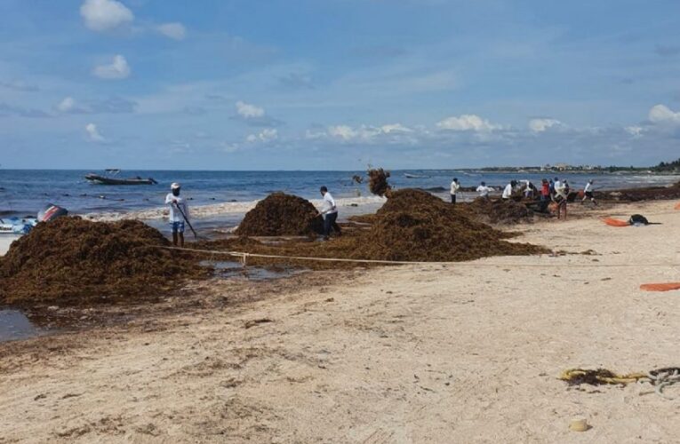 Playas de Cancún libres de sargazo este 14 de julio 2022