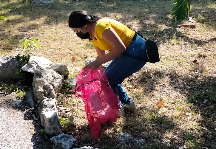 Piden a vecinos de Cancún ponerse a limpiar sus colonias