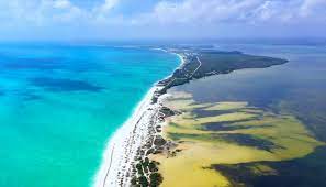 Vive la belleza natural de la Laguna de Chacmuchuch en Cancún