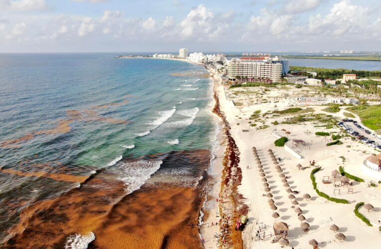 Playas de Cancún libres de sargazo