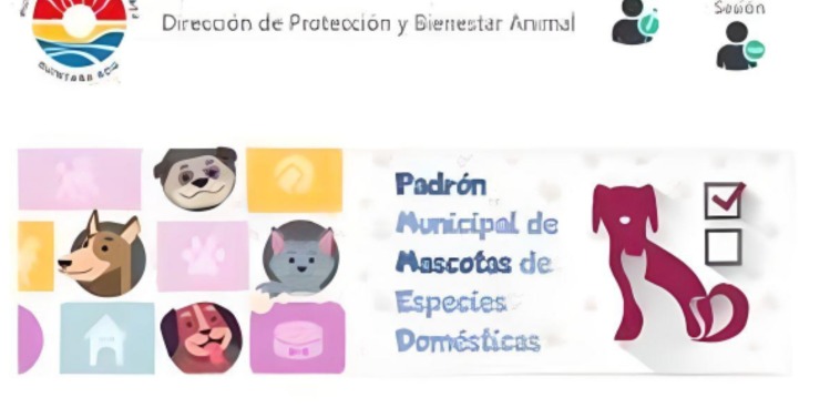 Registro de mascotas Cancún: todo lo que debes saber de este padrón