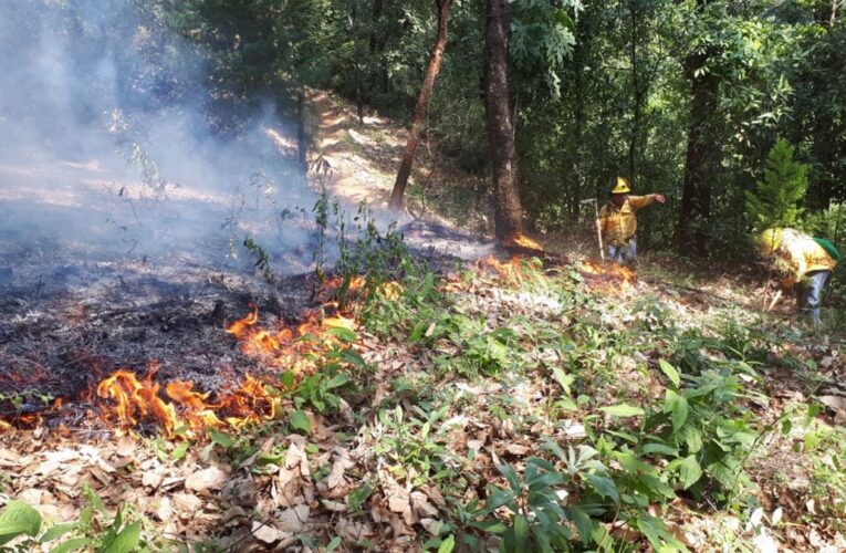 CDMX registra 594 incendios forestales entre enero y marzo