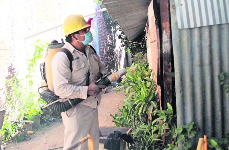 Secretaría de Salud reporta disminución en casos de dengue en Yucatán