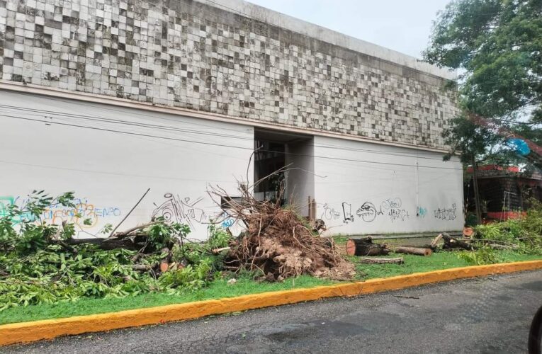 Berly pegó con furia Cozumel