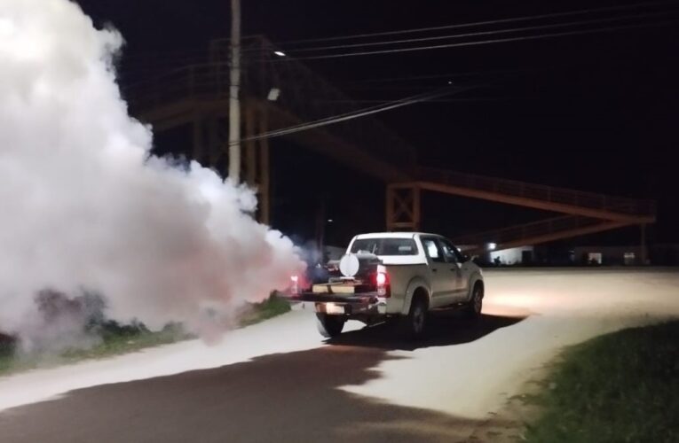 Campeche mantiene a raya al dengue