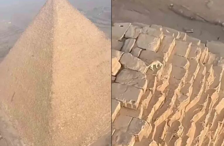 Perrito es captado en la cima de la gran Pirámide de Giza en Egipto