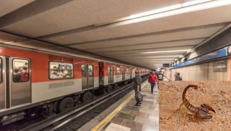 Usuaria es picada por un alacrán en el Metro de la Ciudad de México