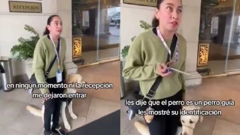 Hotel niega acceso a mujer con su perro guía y llega la Profeco a sancionarlo