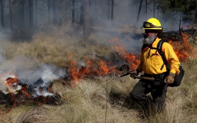 Puebla suma 261 incendios este 2025; registran siniestros urbanos y forestales