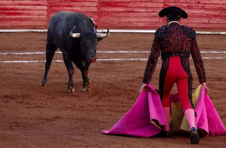 Tauromaquia Mexicana acudirá a tribunales para defender corridas de toros