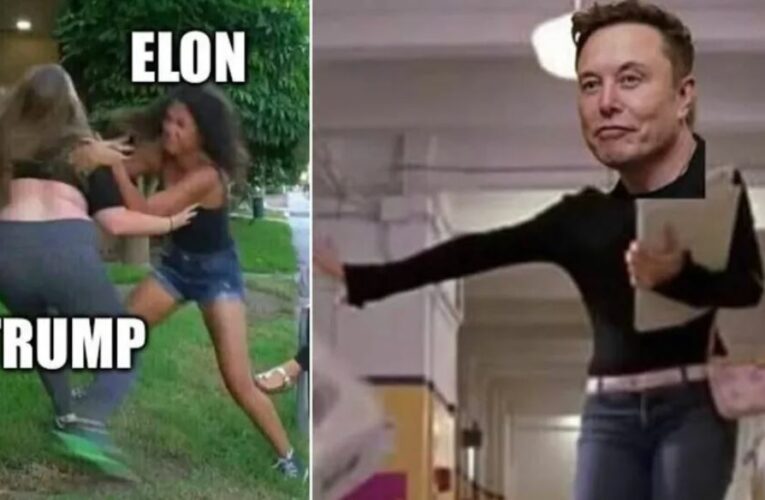 Como en Chicas Pesadas: redes estallan con memes por la pelea entre Elon Musk y Donald Trump