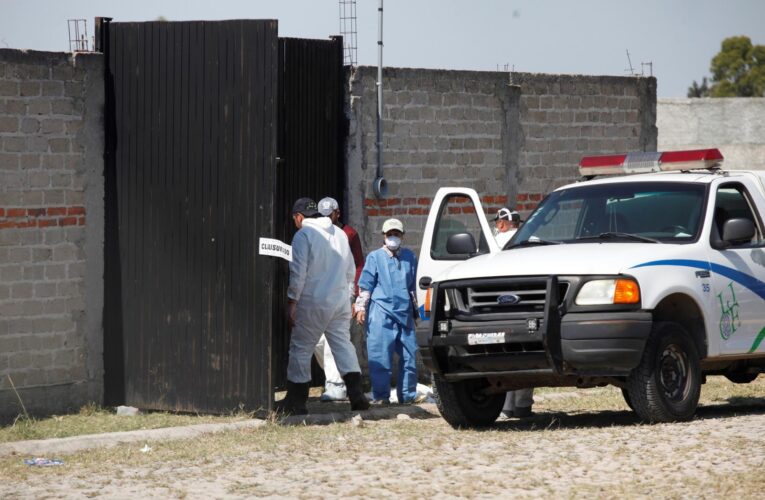 Homicidios en México disminuyen 32 % desde el inicio de la Administración de Claudia Sheinbaum