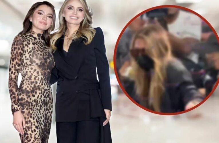 Sofía Castro sufre caída durante encuentro con reporteros; internautas explotan contra ellos