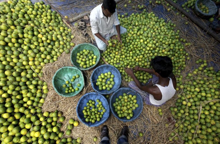Reforzarán seguridad en Michoacán para proteger a productores de cítricos
