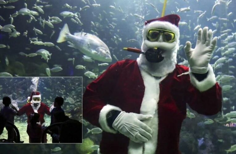 Santa buzo del Aquarium de Veracruz: estos son los únicos días para verlo