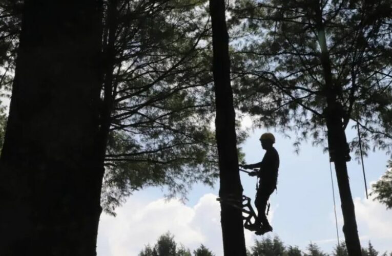 “Bosque Escuela”, educación ambiental con enfoque innovador en el Estado de México