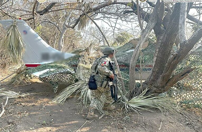 Decomisan media tonelada de droga en aeronave clandestina en Oaxaca: García Harfuch