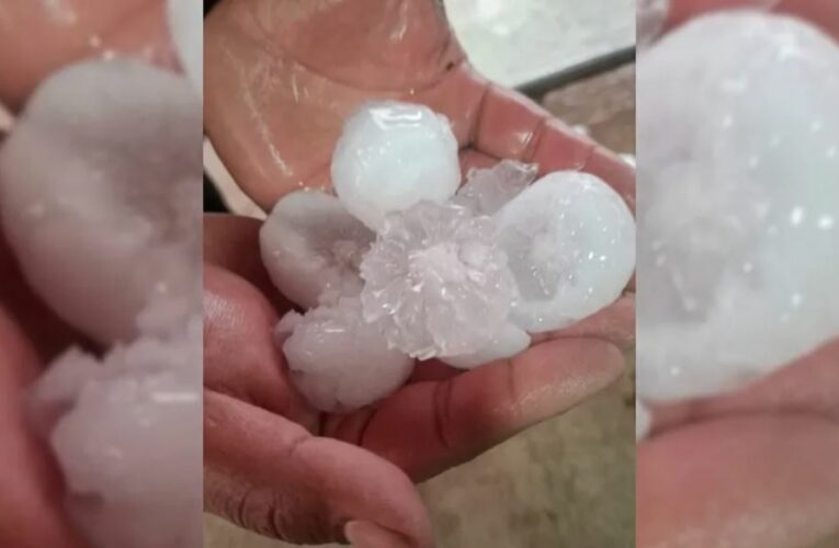 Granizo del tamaño de pelotas de tenis provoca daños en viviendas y cultivos en San Luis de la Paz