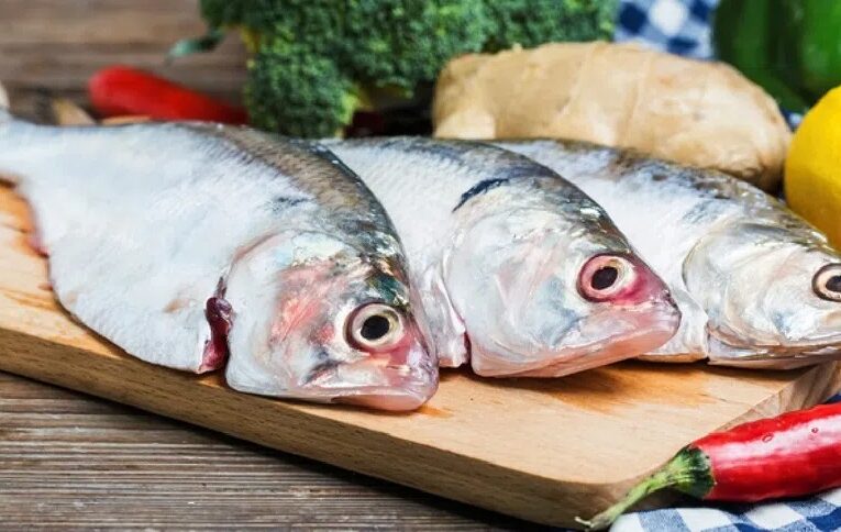 ¡Alerta en México! Detectan venta de pescado falso en mercados y restaurantes