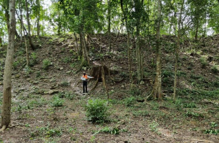 Pobladores revelan sitio maya El Jefeciño en Quintana Roo