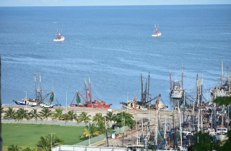 Pescadores de Campeche piden reforzar vigilancia ante inicio de la veda de camarón