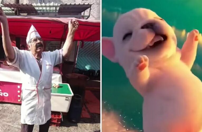 Taquero mexicano se vuelve viral por imitar al perrito ‘Pibble’; usuarios quieren ir a comprarle