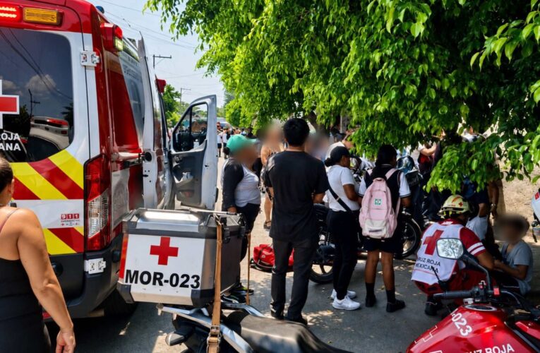 Abejas atacan a 100 personas en telesecundaria de Cuautla, Morelos