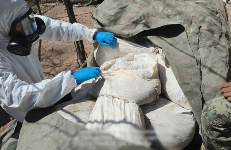 Desmantelan tres narcolaboratorios en Sinaloa; golpe supera los 900 mdp