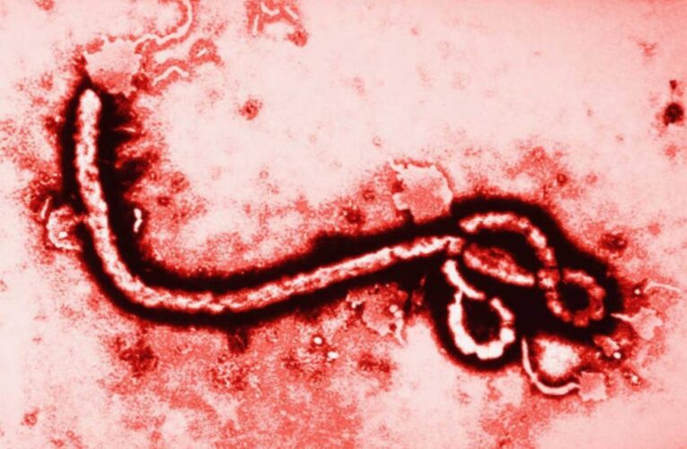 México sin casos de ébola; Secretaría de Salud refuerza vigilancia ante brote