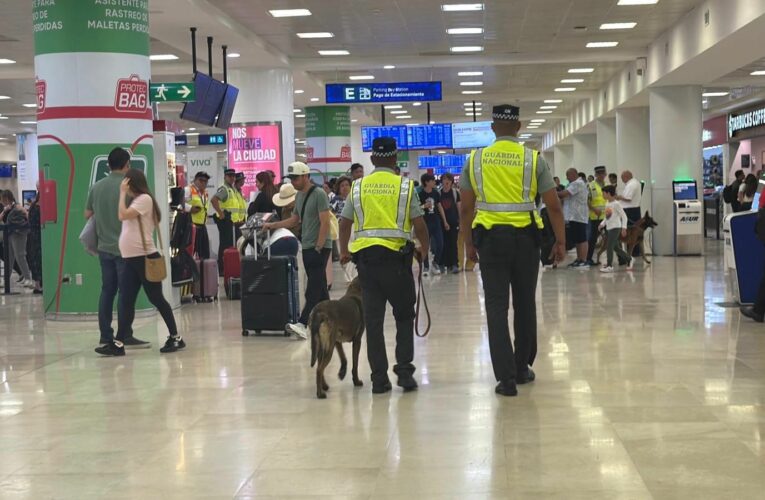 Binomio canino detecta más de 12 kilos de aparente cocaína en el Aeropuerto de Cancún