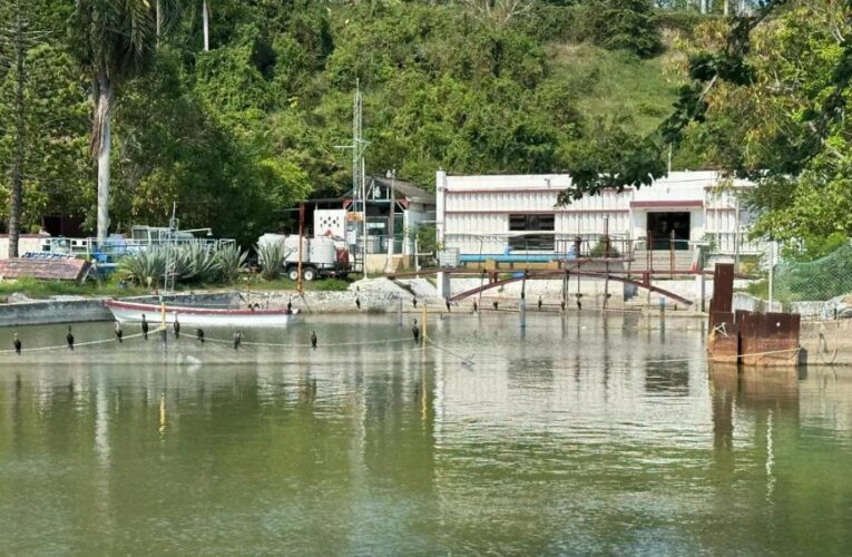 Arranca el Proyecto Génesis, industriales del sur de Tamaulipas buscan reducir la dependencia del sistema lagunario