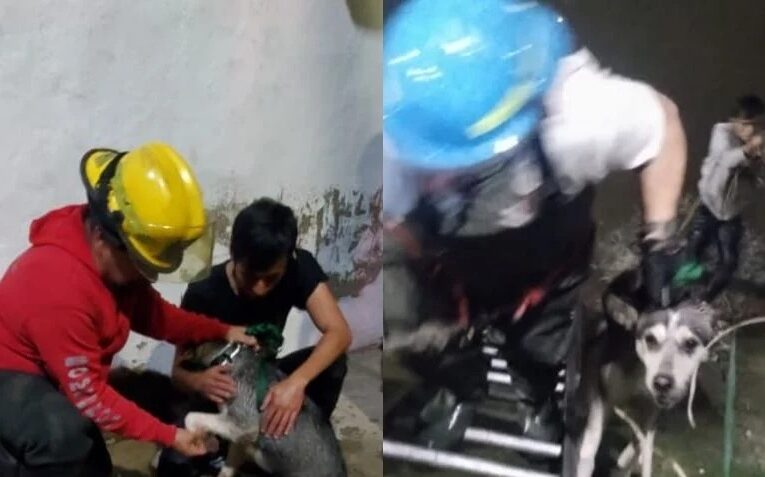 Rescatan a hombre y su perro de canal pluvial en Guadalajara