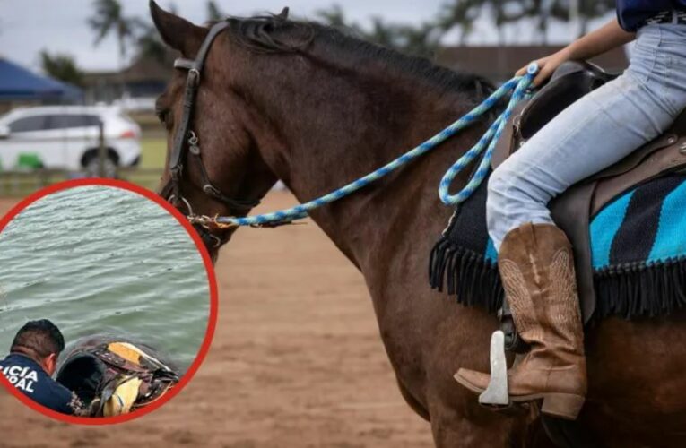 Desaparece jinete tras caer al agua en Huichapan; caballo fallece