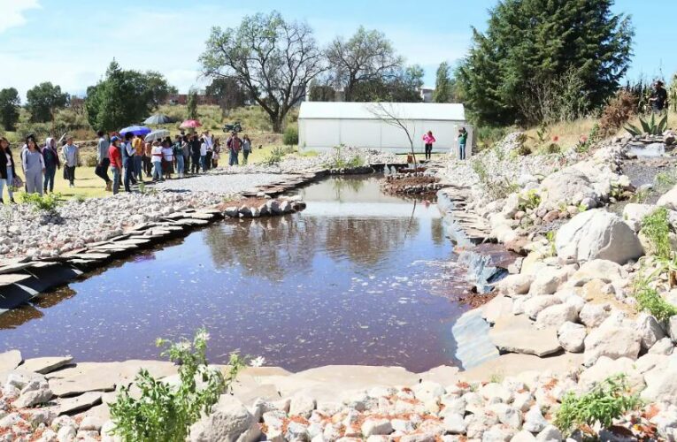 Festival Etnobiológico Tlaxcalan: conoce plantas, hongos y saberes tradicionales de Tlaxcala