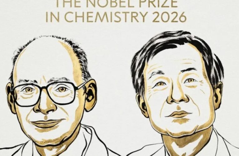 Henri B. Kagan y Kenso Soai ganan el Premio Nobel de Química 2026 por síntesis asimétrica
