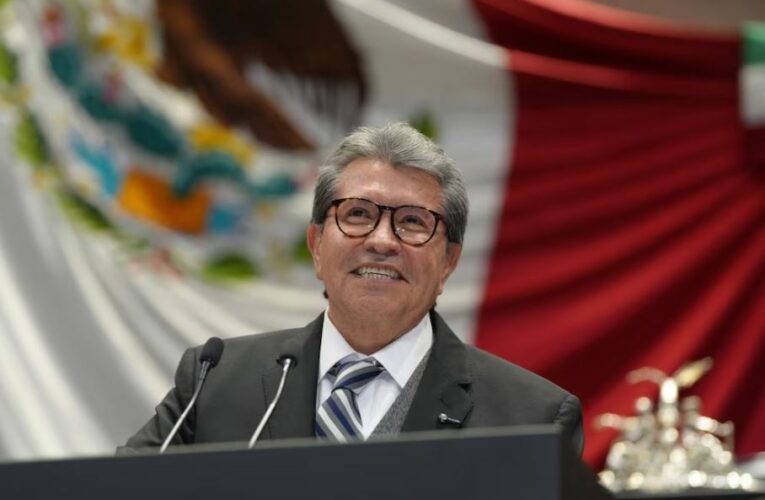 Proceso para sustituir a Guadalupe Taddei en el INE durará entre cuatro y cinco semanas, explica Ricardo Monreal